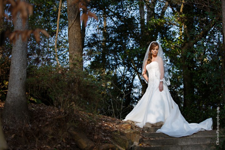 Houston; Houston Wedding Photographer; Strapless; Bridals; Woodlands Wedding Photographer; C. Baron Photography; Formals; beaded; outdoor; park;