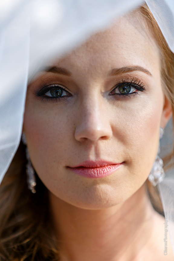 Houston; Houston Wedding Photographer; Strapless; Bridals; Woodlands Wedding Photographer; C. Baron Photography; Formals; beaded; outdoor; park; 