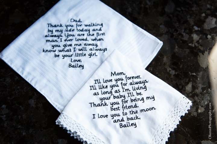 2014, black C. Baron Photography, Discovery Green, dountown, fall, bubbles, Hilton Americas, Houston, Houston Wedding Photographer, October, park, strapless, Texas, The Grove, Treehouse, white metallic, Oleg Cassini