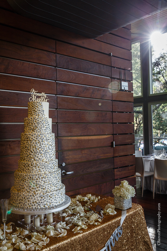 2014, black C. Baron Photography, Discovery Green, dountown, fall, bubbles, Hilton Americas, Houston, Houston Wedding Photographer, October, park, strapless, Texas, The Grove, Treehouse, white metallic, Oleg Cassini