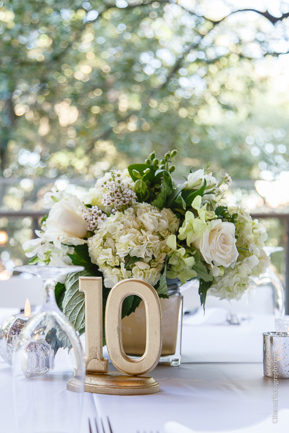 2014, black C. Baron Photography, Discovery Green, dountown, fall, bubbles, Hilton Americas, Houston, Houston Wedding Photographer, October, park, strapless, Texas, The Grove, Treehouse, white metallic, Oleg Cassini