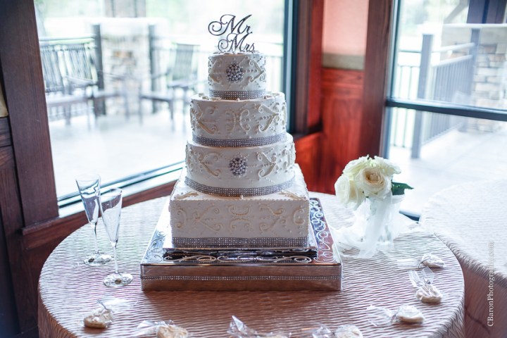 Arnold Course; Blush; Brickhouse Bridal; C. Baron Photography; Chapel in the Woods; DJ Dave Productions; Dusty Rose; Elegant; Floral Events; strapless; March; Pink; Spring; Texas; Woodlands Church; Houston Wedding Photographer; Woodlands Country Club; Woodlands Wedding Photographer; beaded; empire waist; fitted; lace; 