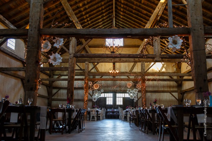 Elegant; Houston Wedding Photographer; Princess Bridal; Texas; Tomball; Tomball Wedding Photographer; Woodlands Wedding photographer; beaded; blue; blush strapless gown; books; c. Baron Photography; chandelier Grove; chandeliers; chic; farmhouse; first look; grand march; lace runner; literary; magenta; mint; mismatched china; old barn; outdoor ceremony; rolls royce; roses; sparklers; tulle ballgown; wedding band; 