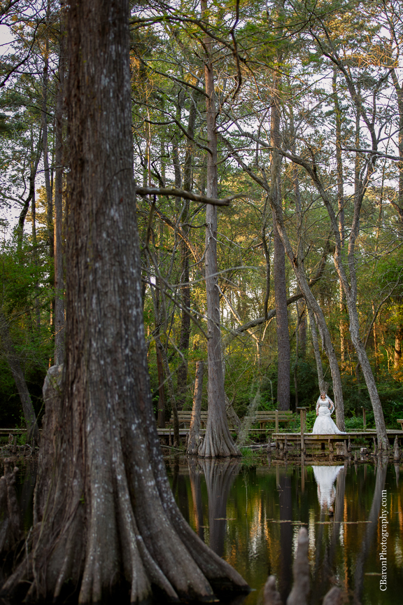Bog; Bridals; C. Baron Photography; Garden; Houston Wedding Photographer; Outdoor; Spring; Sunset; Swamp; Texas; cypress; formals; lace; nature; 