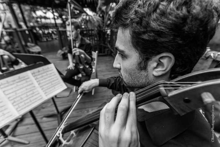 Anniversary Dance; Baby's breath; Blush; C. Baron Photography; Christmas Lights; Couple; FDNY; Fire truck leave; Fireman; Houston Wedding Photographer; Lace; Live Oak; Oak Tree Manor; Outdoor Ceremony; Rain; Reception; Shoe game; Spring; Stiing Quartet; Strapless; Swanky Photobooth; Texas; Wedding; Woodlands Wedding Photographer; bubbles; burlap; pink; roses; rustic; shabby chic;