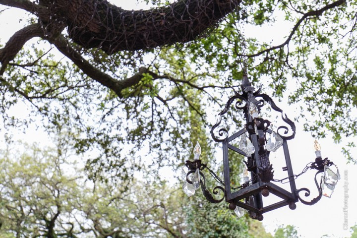 Anniversary Dance; Baby's breath; Blush; C. Baron Photography; Christmas Lights; Couple; FDNY; Fire truck leave; Fireman; Houston Wedding Photographer; Lace; Live Oak; Oak Tree Manor; Outdoor Ceremony; Rain; Reception; Shoe game; Spring; Stiing Quartet; Strapless; Swanky Photobooth; Texas; Wedding; Woodlands Wedding Photographer; bubbles; burlap; pink; roses; rustic; shabby chic;