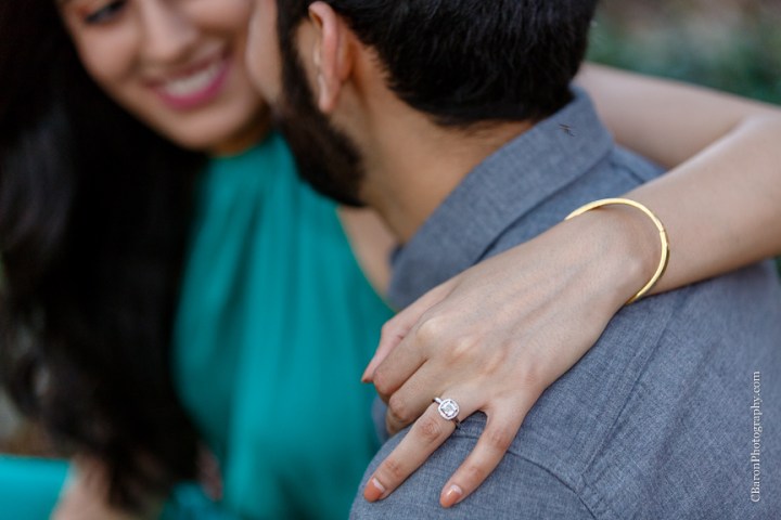 C. Baron Photography; Couple; E-session; Engagement; Houston Engagement Photographer; Indian; Owls; Rice University; S. Asian; Sari; 