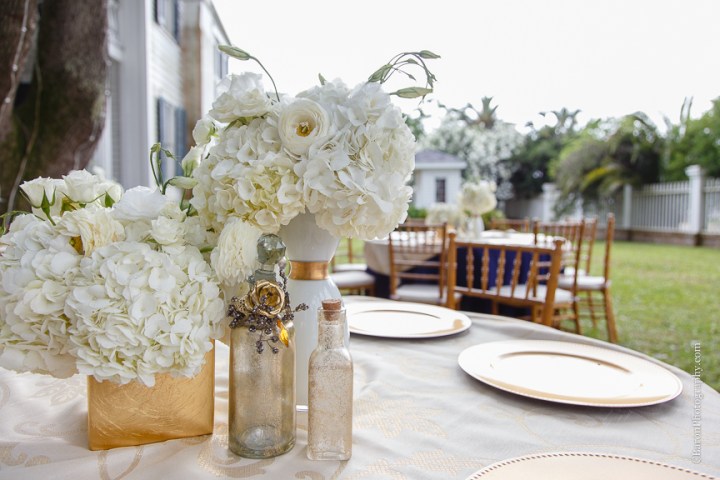 Beaded; C. Baron Photography; Columns; Crystal Chandelier; Galveston; Galveston Historical Foundation; Galveston Wedding Photographer; Historic Home; Houston Wedding Photographer; Impression Bridal; Live Oak; Menard House; Navy; Oleanders; Outdoor; Southern; Victor Harper; Wedding; bridals; champagne; couture; gone with the wind; laser cut lace; platinum; strapless; 