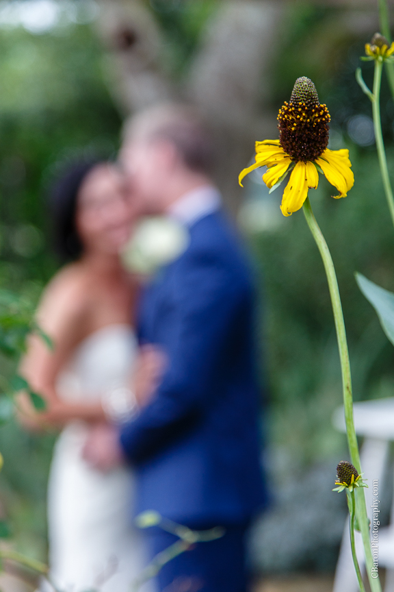 Bed & Breakfast; Brenham Wedding Photographer; C. Baron Photography; Country; Country Chic; Elopement; Gazebo; Homestead; Houston wedding PHotographer; Murski's; Old barn; Rustic; Shabby Chic; Vintage; blush; farm; lace; pink; rain; strapless gown;