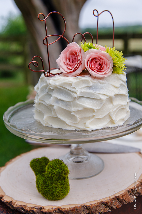 Bed & Breakfast; Brenham Wedding Photographer; C. Baron Photography; Country; Country Chic; Elopement; Gazebo; Homestead; Houston wedding PHotographer; Murski's; Old barn; Rustic; Shabby Chic; Vintage; blush; farm; lace; pink; rain; strapless gown; 