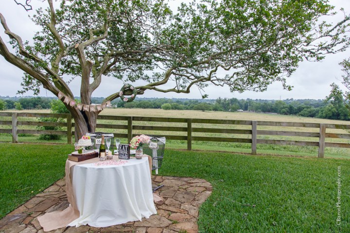 Bed & Breakfast; Brenham Wedding Photographer; C. Baron Photography; Country; Country Chic; Elopement; Gazebo; Homestead; Houston wedding PHotographer; Murski's; Old barn; Rustic; Shabby Chic; Vintage; blush; farm; lace; pink; rain; strapless gown; 