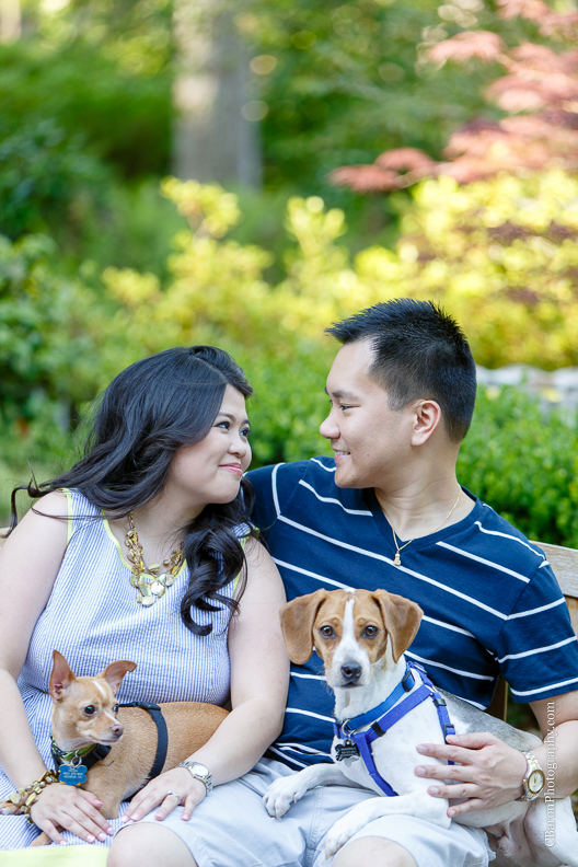 Engagement; Houston Wedding Photographer; Humble; Mercer; c. Baron Photography; couple; dogs; flowers; garden; park; 