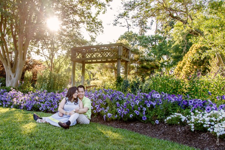 Engagement; Houston Wedding Photographer; Humble; Mercer; c. Baron Photography; couple; dogs; flowers; garden; park;