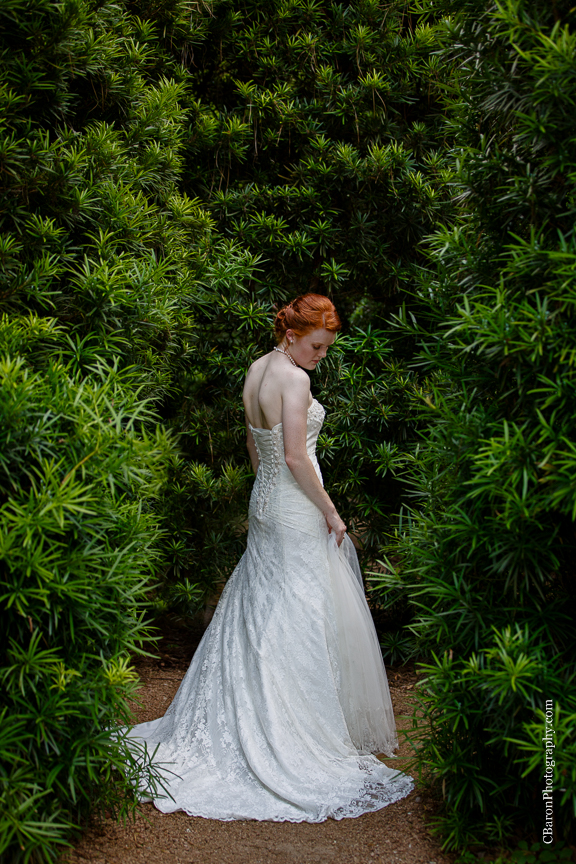 Aggies; Bridals; C. Baron Photography; Formals; Garden; Houston Wedding Photographer; Lace gown; Mercer; Spring; Strapless; Texas; Texas A&M; Woodlands Wedding PHotographer; flowers; gorgeous red hair; summer; sunflowers; 