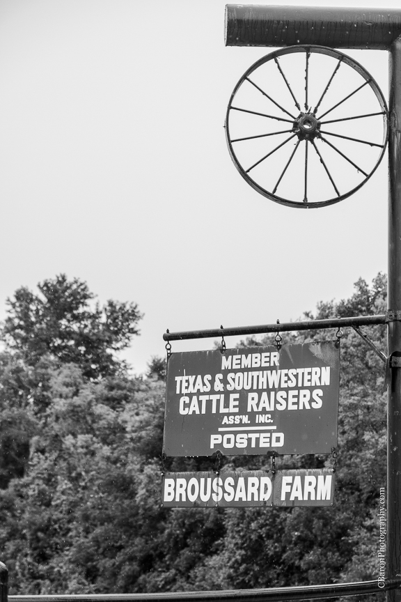 Beaumont Wedding Photographer; Bride; Broussard Farms; C. Baron Photography; Chandelier; Coral; Country. Under the tree; Couple; DIY; East Texas Weddings; Farm House; First Look; Groom; Houston Wedding Photographer; Live Oak; Mint Green; Outdoor ceremony; Paper Flowers; Peach; Ring Warming; Rustic; Sevenne Hall; Sparklers; Summer; Swag; Swanky Photobooth; Unity Cross; Vintage; Wedding; Wood Flowers; ombre; 