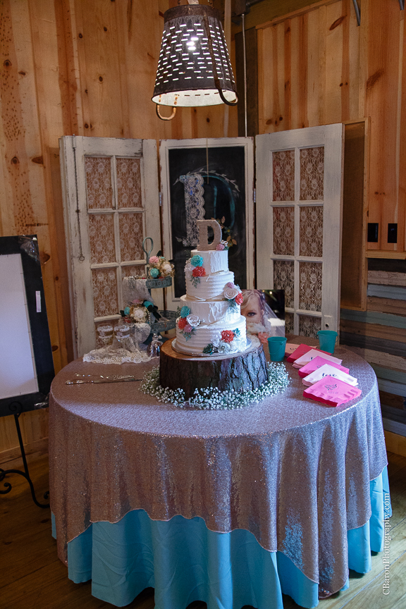 Beaumont Wedding Photographer; Bride; Broussard Farms; C. Baron Photography; Chandelier; Coral; Country. Under the tree; Couple; DIY; East Texas Weddings; Farm House; First Look; Groom; Houston Wedding Photographer; Live Oak; Mint Green; Outdoor ceremony; Paper Flowers; Peach; Ring Warming; Rustic; Sevenne Hall; Sparklers; Summer; Swag; Swanky Photobooth; Unity Cross; Vintage; Wedding; Wood Flowers; ombre; 