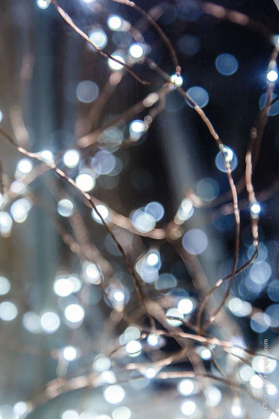  Aggies; C. Baron PHotography; Chandelier; Crystal Springs; First Look; Houston Wedding Photographer; Rain; Rainy Wedding; Southall; Texas A&M; War Hymn; Woodlands Wedding Photographer; bowtie; bride; couple; gray; grey; groom; lace gown; 
