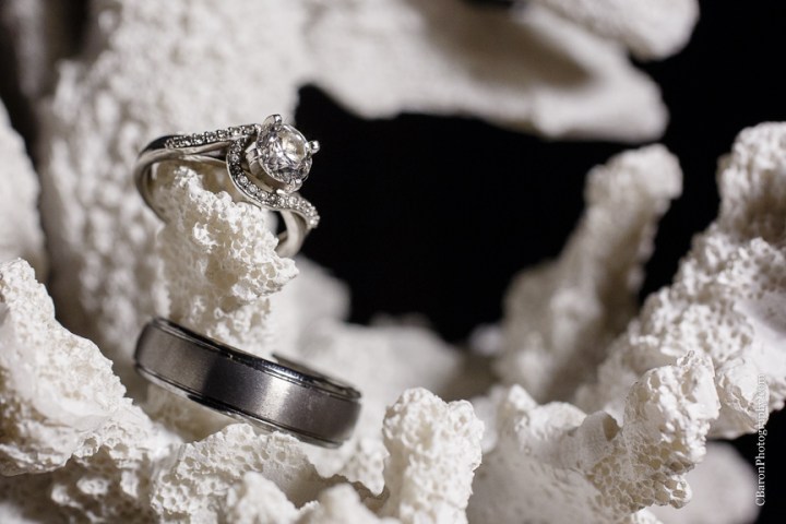 Aqua; Beach House; Beach Photographer; Beach Wedding; Blue; Bolivar Peninsula; C. Baron Photography; Crystal Beach; Crystal Beach Weddings; Galveston County; Galveston Wedding Photographer; Houston Wedding Photographer; Paper flowers; Tropical theme; Turquoise; barefoot; beach; brooch; coral; ferry; fireworks; gulf; lace gown; ocean; sand; sand dunes; sandals; sea; seashells; sunglasses; updo; waves; wayfarers; 