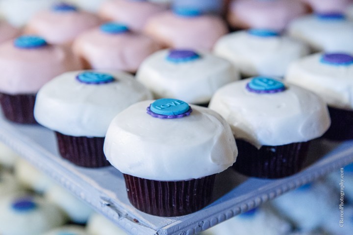 2014; Brookshire; C. Baron Photography; Houston Wedding Photographer; May; Pecan Springs; Texas; Wedding; balloons; blue; cupcakes; first look; outdoor ceremony; purple; strapless; 