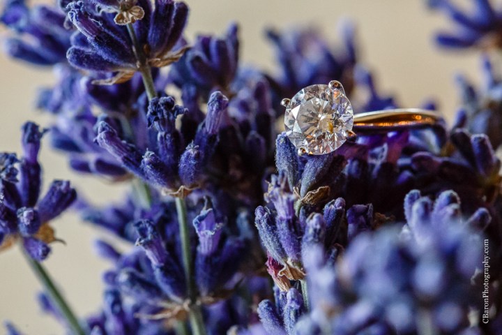 Burlap; C. Baron Photography; Chandelier; Crystal Spings; Groom; Houston Wedding Photographer; Lace; Magnolia; Outdoor Ceremony; Summer; Texas; The Springs Events; Wedding; baby's breath; bride; couple; cowboy boots; purple; reception; woodlands wedding photographer; 