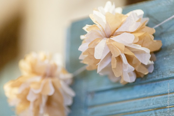 Border Collie; Bride; C. Baron Photography; Couple; Crystal Springs; Dress Blues; Groom; Houston Wedding Photographer; Indoor ceremony; Keyhole back; Marines; Northall; Pink; Raining; Shabby Chic; Spring Wedding Photographer; Swanky Photobooth; USMC; Vintage; Woodlands Wedding Photographer; aqua; bubbles; burlap; lace; pennants; shoe game; summer; 