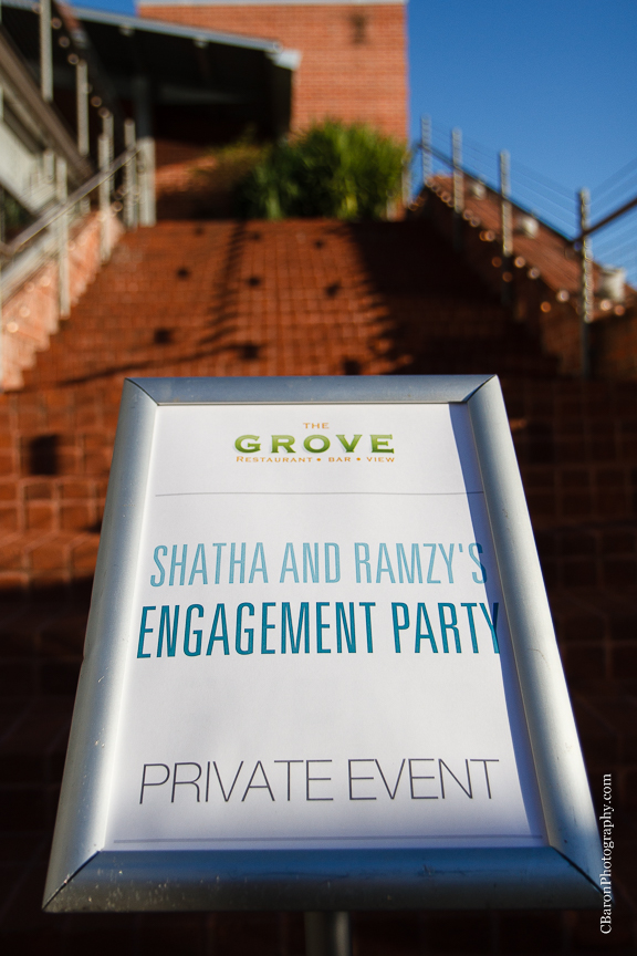 2014; C. Baron Photography; Discovery Green; Engagement Party; Evening; Houston; Houston Wedding Photographer; January; Jewelry; S. Asian; Texas; The Grove; The Treehouse; downtown; 