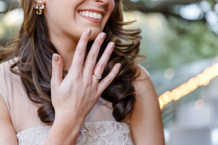 2014; C. Baron Photography; Discovery Green; Engagement Party; Evening; Houston; Houston Wedding Photographer; January; Jewelry; S. Asian; Texas; The Grove; The Treehouse; downtown; 