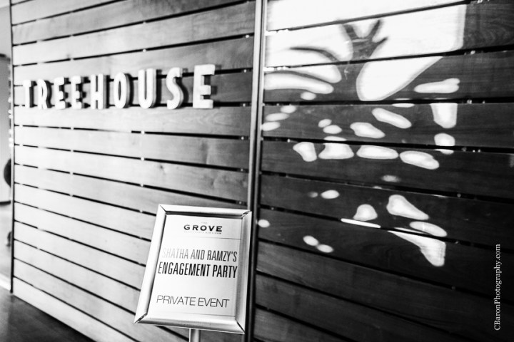 2014; C. Baron Photography; Discovery Green; Engagement Party; Evening; Houston; Houston Wedding Photographer; January; Jewelry; S. Asian; Texas; The Grove; The Treehouse; downtown; 