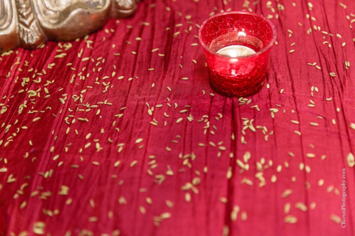 2014; April; C. Baron Photography; Engagement; Houston Wedding Photographer; Indian; Madras Pavilion; Party; Sari; Sugar Land; Sugarland; Texas; 