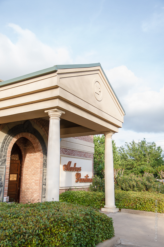 2014; April; C. Baron Photography; Engagement; Houston Wedding Photographer; Indian; Madras Pavilion; Party; Sari; Sugar Land; Sugarland; Texas; 