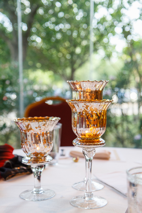 2014; April; C. Baron Photography; Engagement; Houston Wedding Photographer; Indian; Madras Pavilion; Party; Sari; Sugar Land; Sugarland; Texas; 