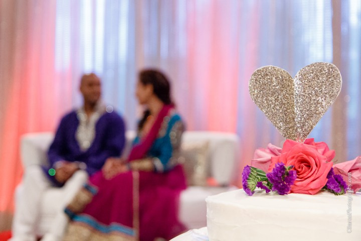 2014; April; C. Baron Photography; Engagement; Houston Wedding Photographer; Indian; Madras Pavilion; Party; Sari; Sugar Land; Sugarland; Texas; 