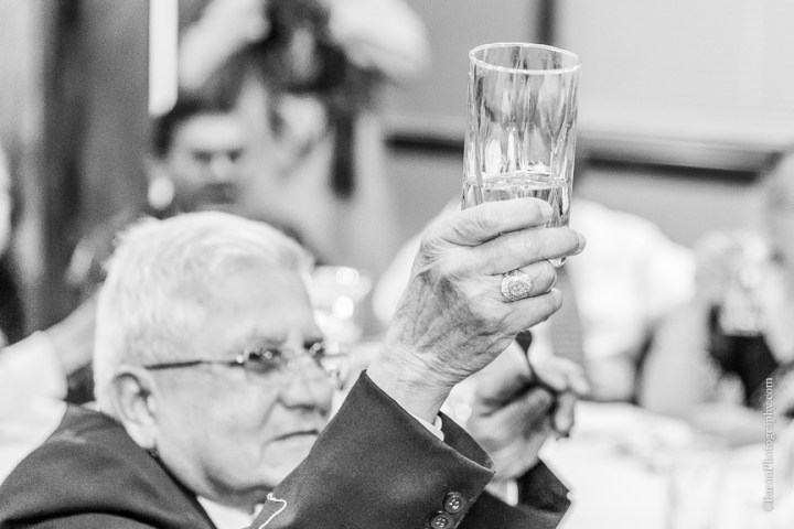 2014; April; C. Baron Photography; Engagement; Houston Wedding Photographer; Indian; Madras Pavilion; Party; Sari; Sugar Land; Sugarland; Texas; 