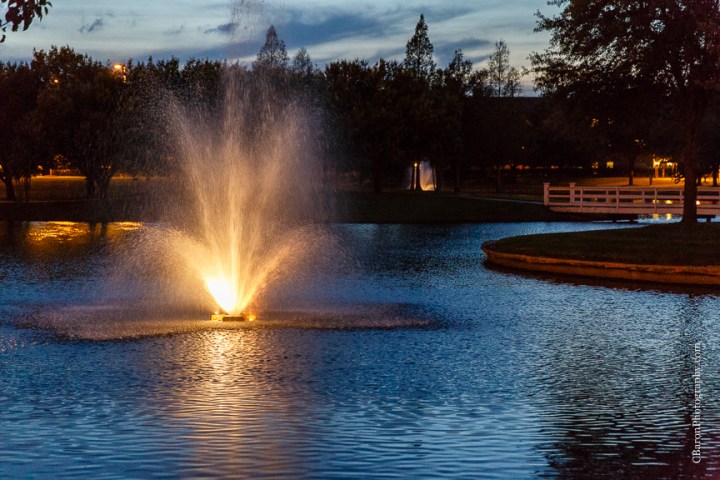 2014; April; C. Baron Photography; Engagement; Houston Wedding Photographer; Indian; Madras Pavilion; Party; Sari; Sugar Land; Sugarland; Texas; 