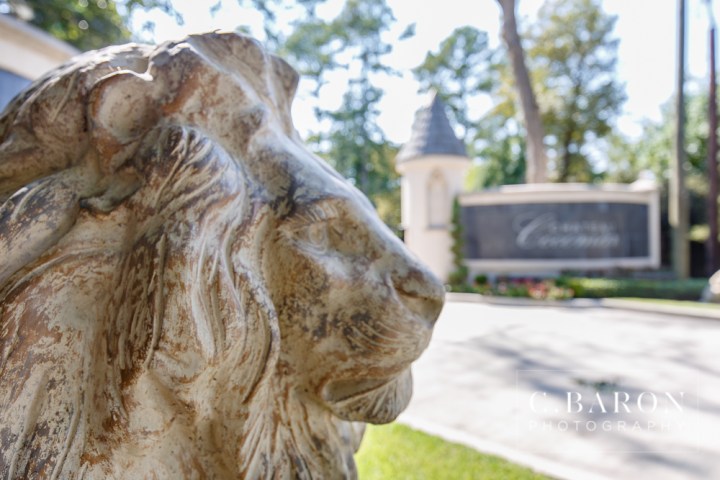 Baroque; Chandeliers; Darryl & Co.; Gold; Houston; Houston Wedding Photographer; Impression Bridal; Jewel Tones; Lary's; Lavish Affair; Lush; Strings Attached; Texas; Yumi Katsura; chateau Cocomar; elegant; 