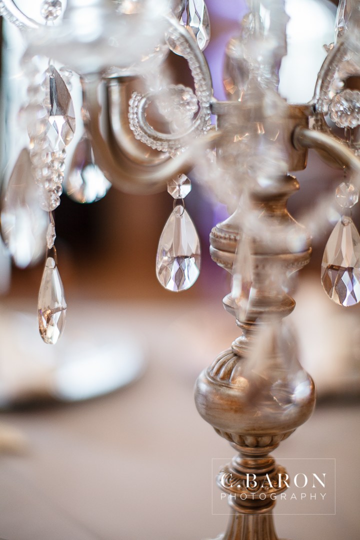 Amber Springs; C. Baron PHotography; Conroe; Houston wedding Photographer; March; Nature; Outdoor; Stonehall; Texas; Wedding;