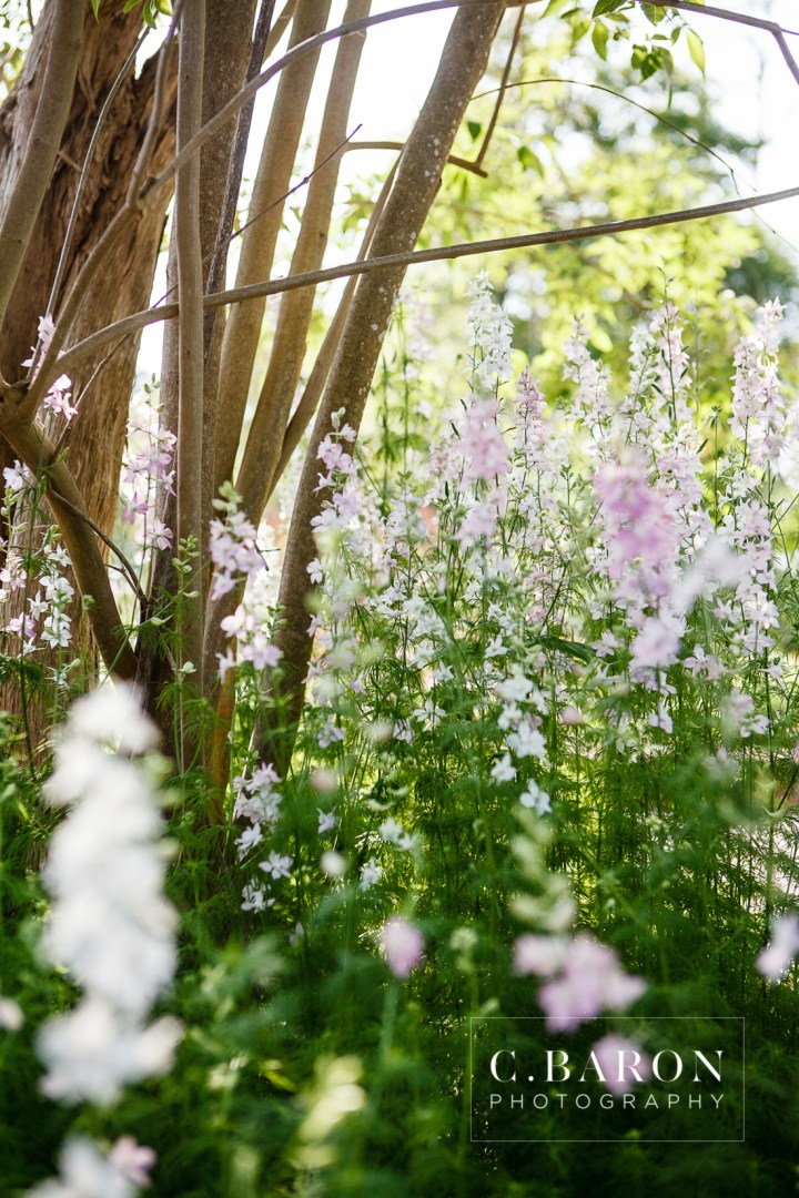 April, C. Baron Photography, Couple, Engagement, flowers, houston, Humble, Mercer, Park, Spring