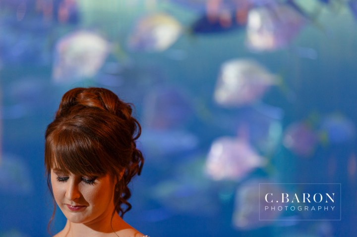 Ballroom; Bridals; C. Baron PHotography; Downtown Aquarium; Fish; Formals; Houston Bridals Photographer; beaded cape; carousel; downtown skyline; ferris wheel; merry-go-round;