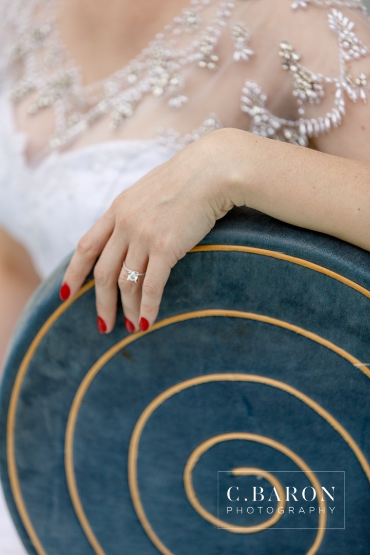 Ballroom; Bridals; C. Baron PHotography; Downtown Aquarium; Fish; Formals; Houston Bridals Photographer; beaded cape; carousel; downtown skyline; ferris wheel; merry-go-round;