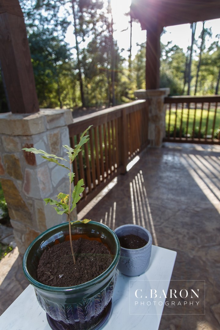 Austin Wedding Photographer, Beaumont wedding Photographer, C. Baron Photography, College Station wedding Photographer, Conroe Wedding Photograher, Crystal Springs, first look, flower crown, Galveston Wedding Photographer, Houston wedding Photographer, lace dress, Magnolia, mismatched china, Naked wedding cake, Outdoor Ceremony, Reception, sunflowers, sunset, Texas, Unfrosted cake, Woodlands Wedding Photographer