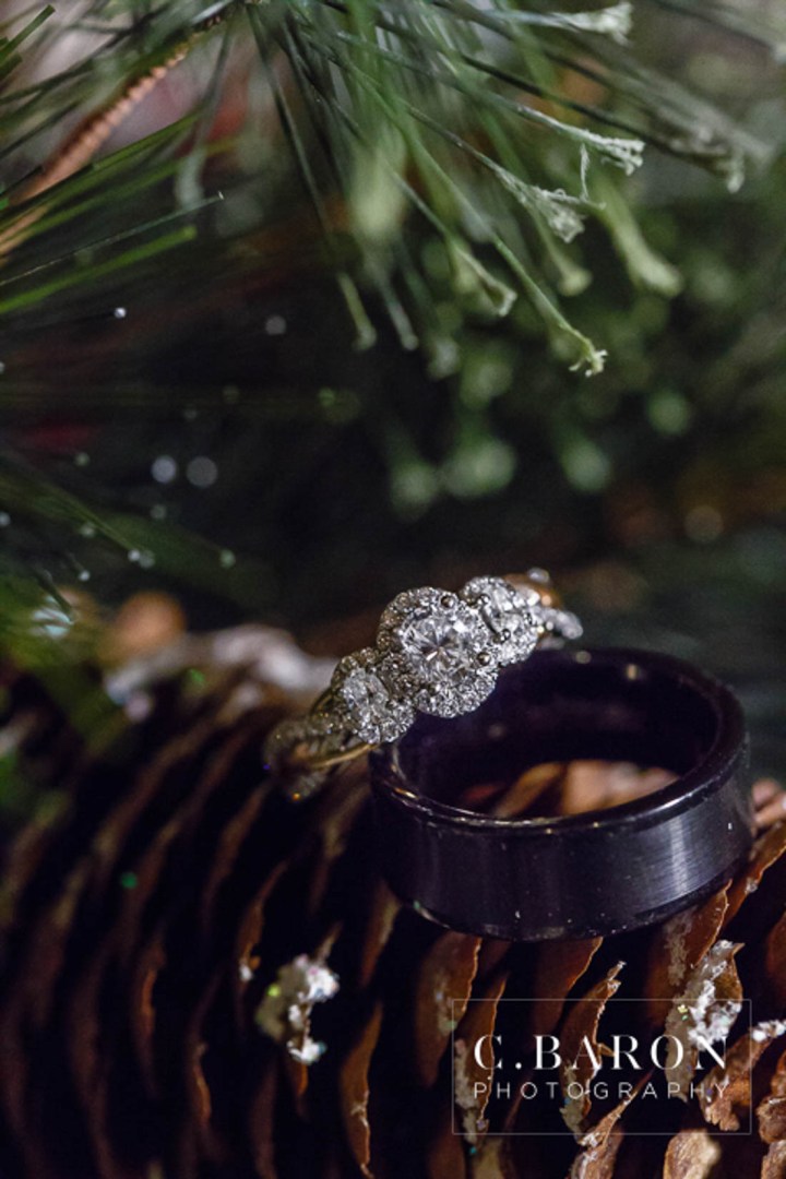 Amber Springs; Austin Wedding Photographer; Beaumont Wedding Photographer; C. Baron PHotography; Christmas; College Station wedding Photographer; Conroe Wedding Photograher; Conroe Wedding Photographer; Galveston Wedding Photographer; Houston Wedding Photographer; Pine cones; Pines; Stonehall; Texas; Winter; Woodlands Wedding Photographer; candlelight; christmas lights; couple; evening; weddings;