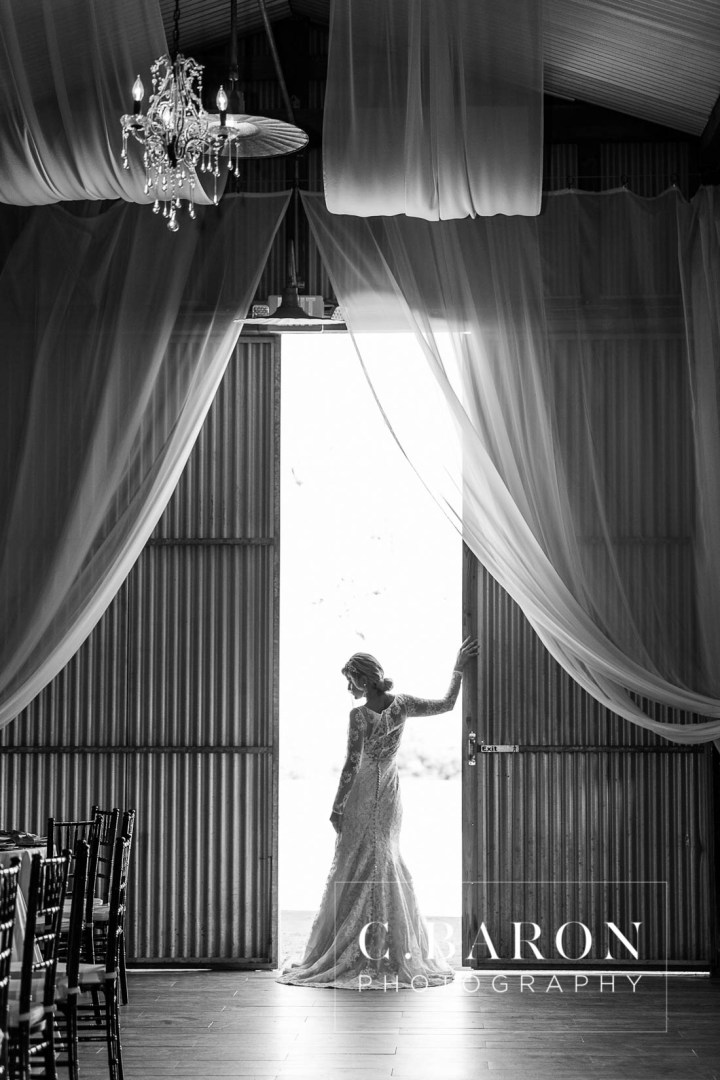 C. Baron Photography; Cornelius florist of Tomball; Cotton Bolls; Edible Moments; Elegant; Houston Wedding Planners; Houston Wedding Venue; Houston wedding Photographer; Lace gown; Long Sleeved dress; Luxury; Moffitt Oaks; Polished Wedding Planning; Rose Gold; Rustic; Serenity Blue; Something Blue Bridals; Texas; Tomball; anemone; chandeliers; corral; gold headband; luxurious; ranunculus; smilax; stable; winter;