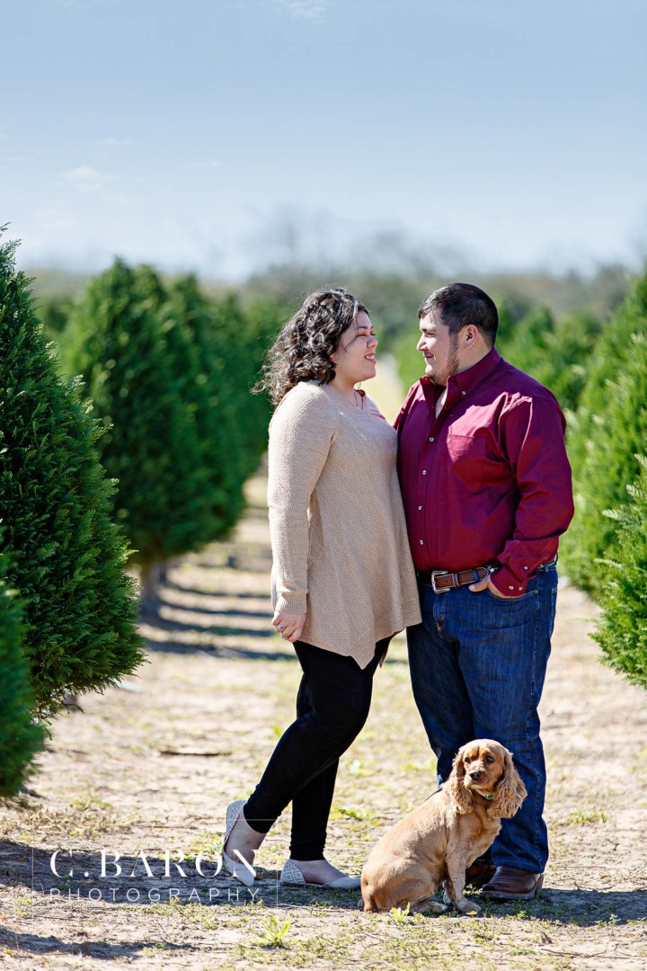 Barn; C. Baron Photography; Cocker Spaniel; Dog; E-session; Engagement; Houston Engagement Photographer; Maroon; Red; Rustic; Texas; afternoon; crimson; farm; goats; holiday; houston; trees; winter;