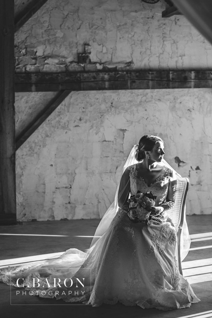 Bridals; C. Baron Photography; Houston Wedding PHotographer; Spring; Texas; Tomball; chandelier Grove; farmstead; illusion lace; veil;