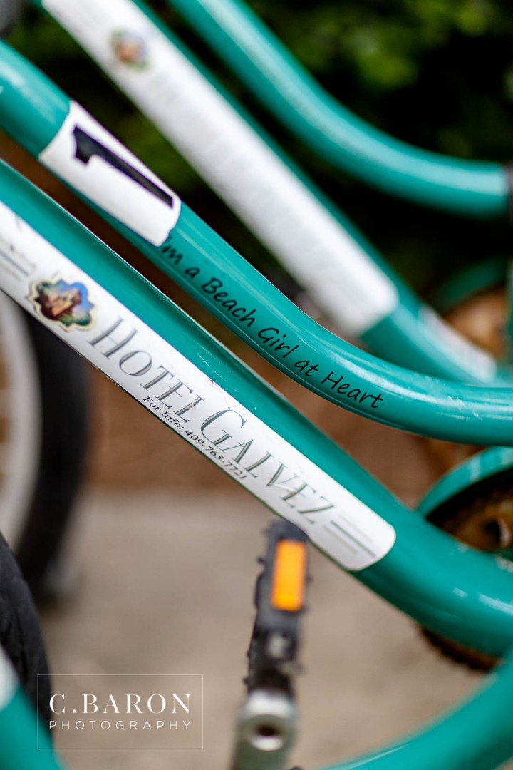 Beach; Bridals; C. Baron Photography; Formals; Galveston Island; Galveston Wedding Photographer; Historic Hotel; Hotel Galvez; Houston wedding Photographer; Lace gown; Palm Trees; Seaside; Seawall; Spring; Texas Wedding Photographer; sunny afternoon;