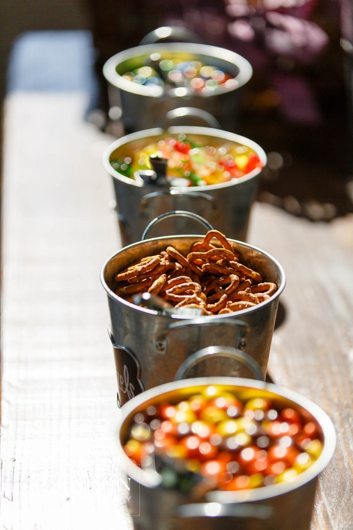 Aggie War Hymn; Aggies; Barn Reception; C. Baron Photography; Cornelius Florist NW; Elegant; Glow Sticks; Grey; Houston wedding Photographer; Outdoor Ceremony; Ring Toss; Smokey lavender; Spring; Texas; Texas A&M; Tomball; Tomball Wedding Photographer; Vintage Rolls Royce; Woodlands Wedding Photographer; bell exit; chandelier Grove; communion; games for kids; gray; group prayer; lavender; purple; purple roses; ribbon leave;