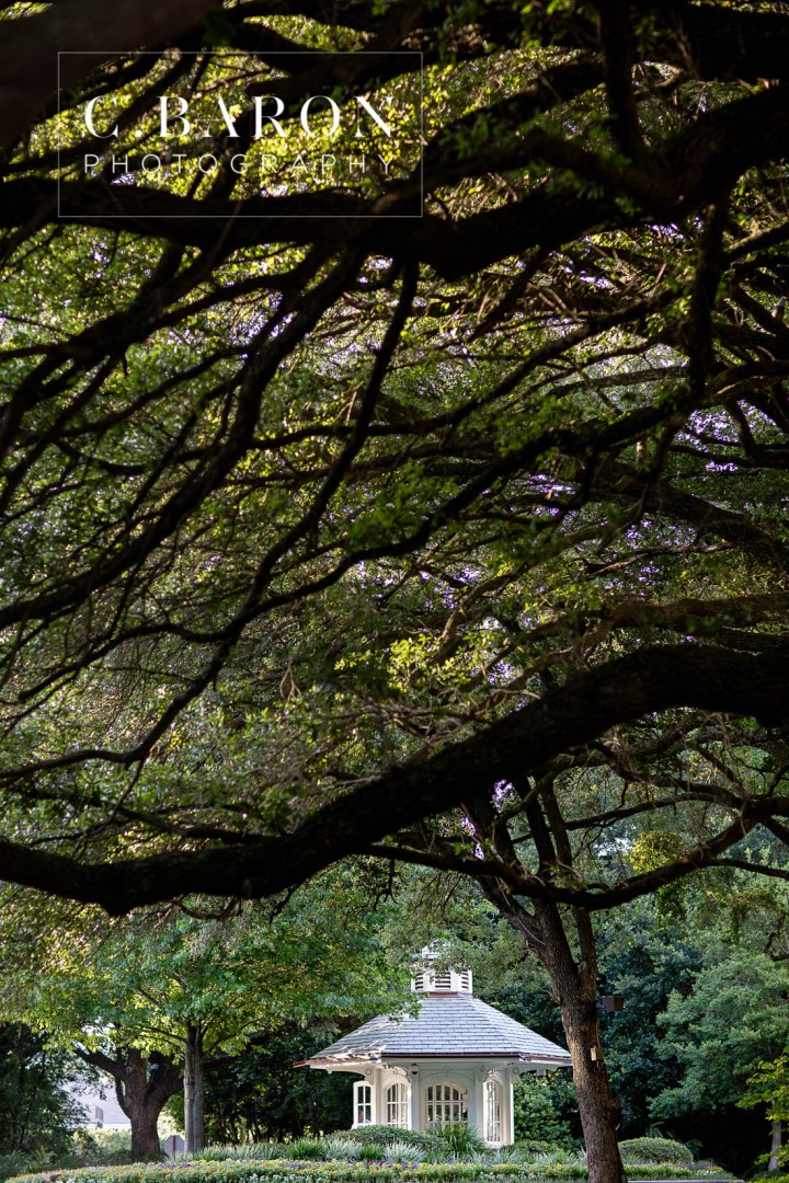 C. Baron Photography; E Session; Engagement session; Houston Engagement Photographer; Live Oaks; Memorial Area; Nature; The Houstonian;