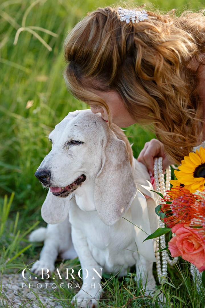 Bassett Hound with flowers; Bridals; C. Baron Photography; Dog; Formals; Fur Baby; Galveston Bridals Photographer; Galveston Wedding Photographer; Gulf Coast Photographer; Houston Bridals; Peach; Southeast Texas; Summer; Sunset; estuary; marsh; orange; tree; water; yellow;
