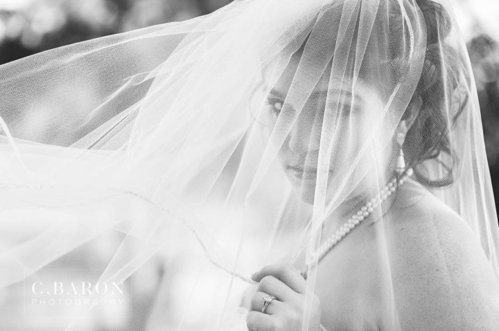 Bridals; C. Baron Photography; Formals; Houston Bridals Photographer; Raveneaux Country Club; Spring; Strapless; Texas; Veil;