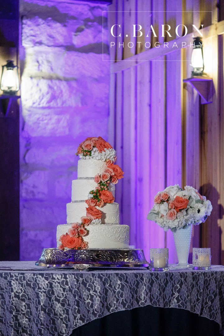 Blue; C. Baron Photography; Chandelier; Coral; Crystal Springs; Glam; Gold; Houston wedding Photographer; Keyhole back gown; Magnolia Texas; Nature; Outdoor Ceremony; Rustic; Swanky Photobooth; The Springs - Woodlands; Woodlands Wedding Cinematographer; Woodlands Wedding Photographer; lace; navy; open photobooth; summer;